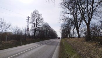 img_20210309_101511_optimized