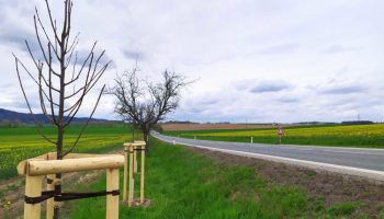 img_20210506_131454_optimized