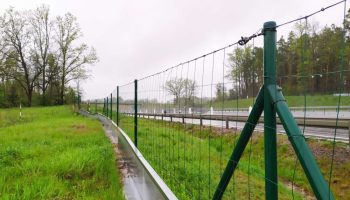 img_20210513_094604_optimized