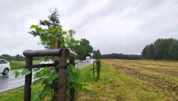 img_20210805_104403_optimized