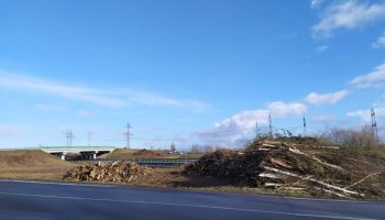 img_20230315_082610_optimized