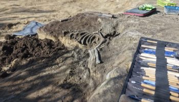 PES breclav_ 00322e6e-5c92-4e8a-b727-50a0bb15ce6d