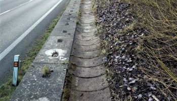 uklid a udržba přikop