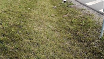 Úklid I11 na Opavsku 2