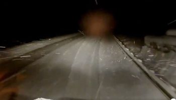 projevy zimy se mírní