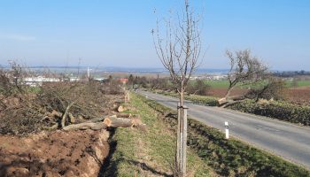 20230301_152800[1] (2)