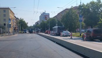 IMG_20220701_094531 (2)