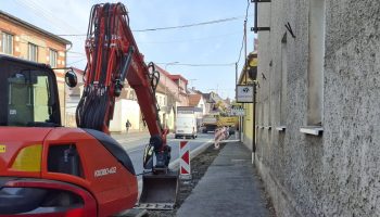 20260304_120607 ořez