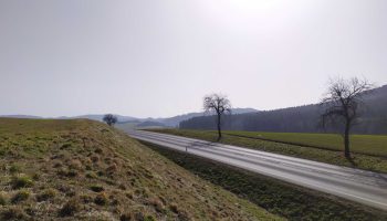 img_20210225_113733_optimized