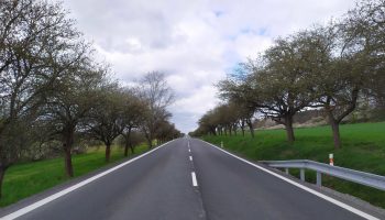 img_20210506_121854_optimized