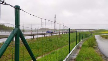 img_20210513_094558_optimized