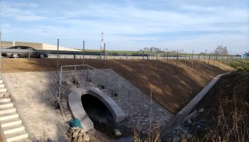 313120253_810858176815512_6072486263692779464_n